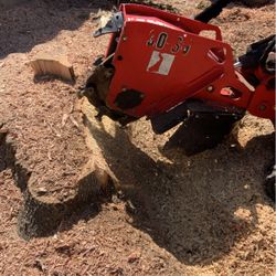 Stump Grinding