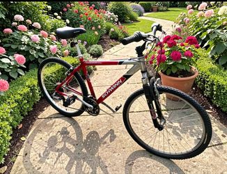 Mountain bike