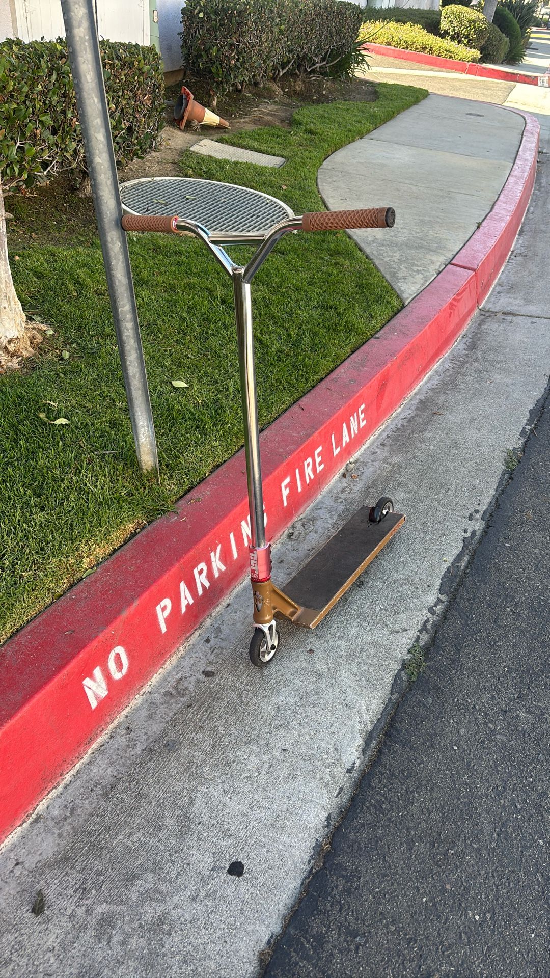 Pro Scooter