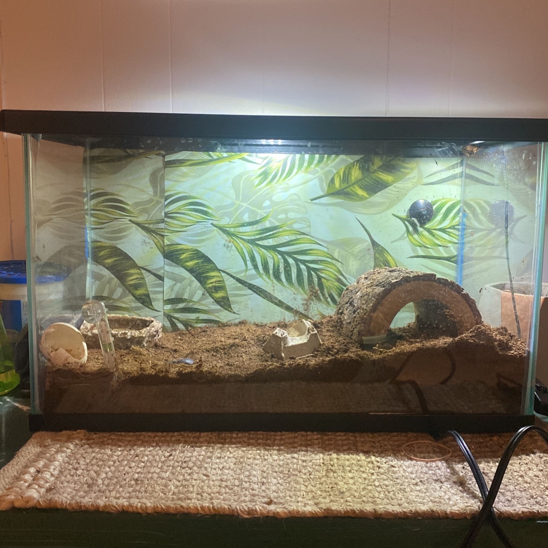 10 Gallon Tank