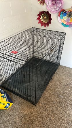 Dog cage XL
