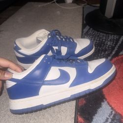 Nike Dunks Blue