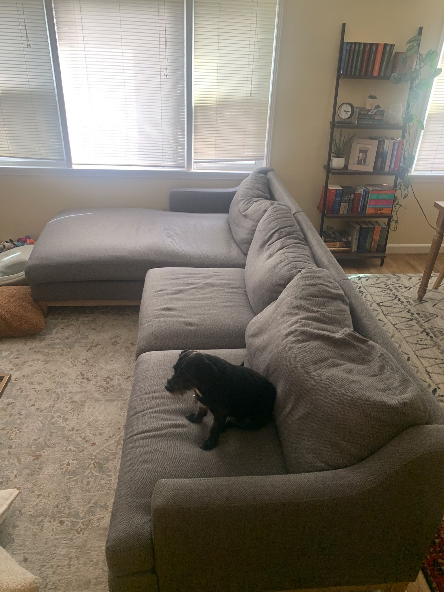 Sectional Sofa