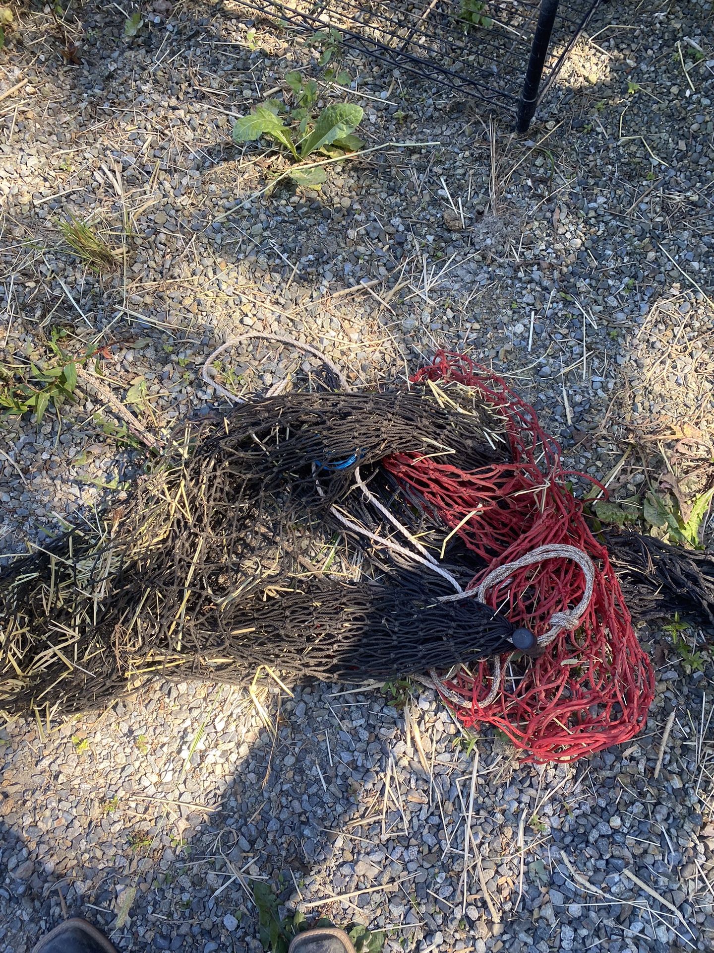 Free Hay Nets