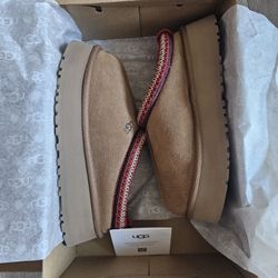 UGGs Tazz chestnut women's size 7 brand new boots slippers