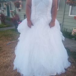 22w David Bridals Ivory Strapless Corset Back Wedding Dress With Cathedral Veil 