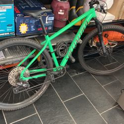 Specialized Rockhopper Trail Bike, Size M