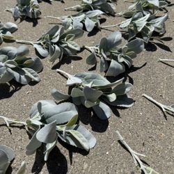 Artificial Eucalyptus Bundle – Realistic Green Stems for Centerpieces & DIY Decor