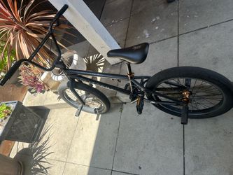 Elite BMX bike