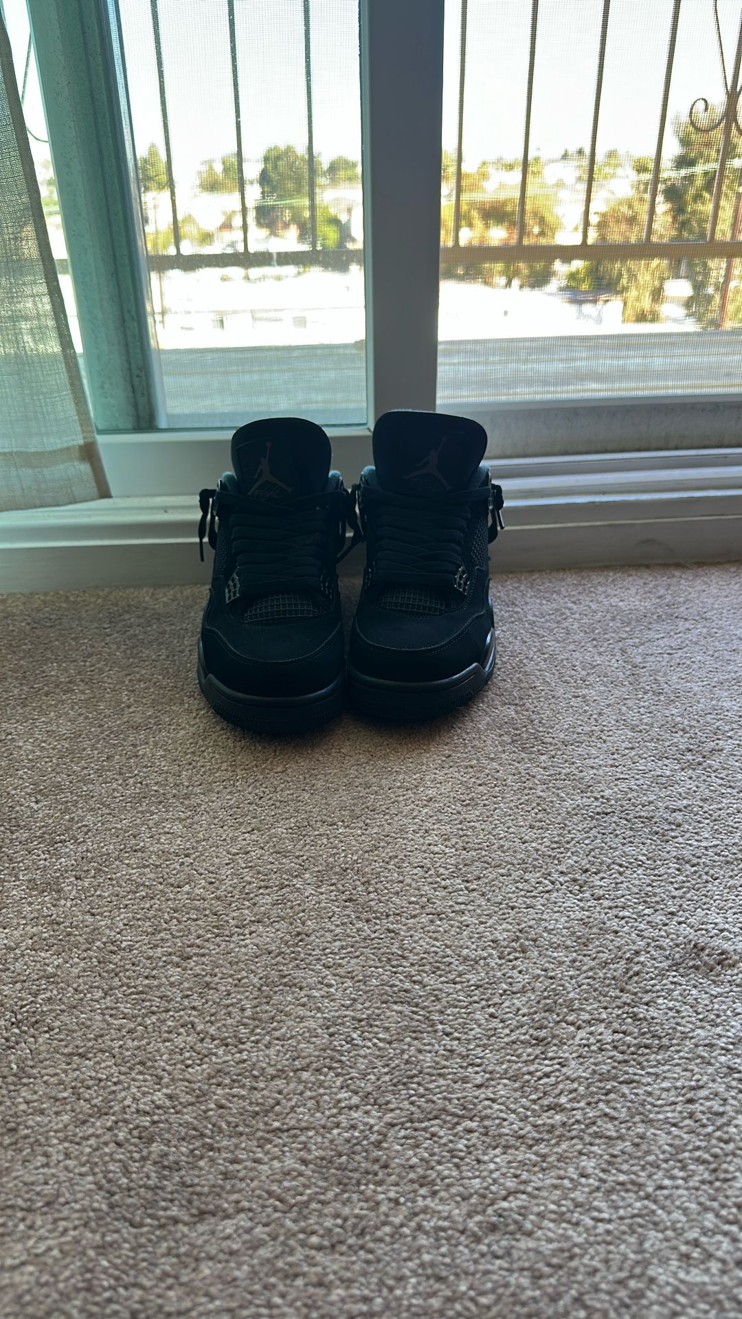 Jordan 4 Black cat