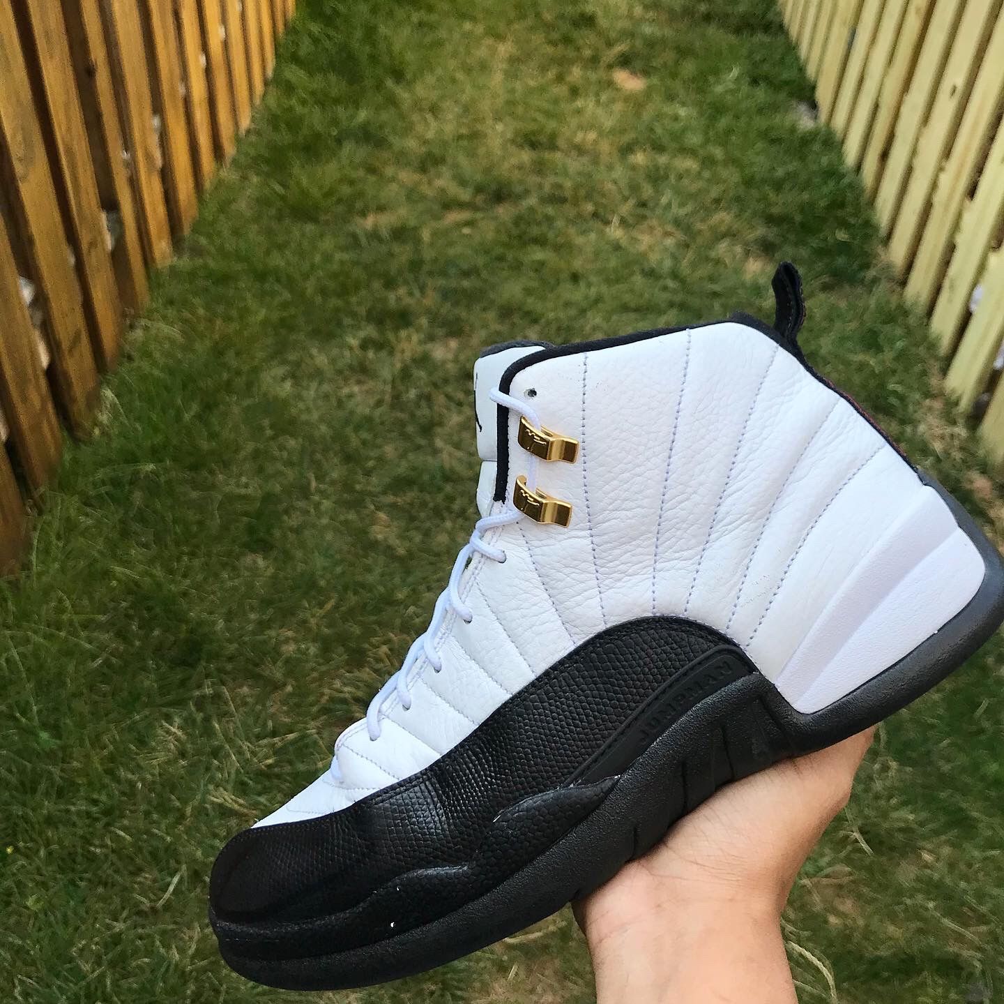 Air Jordan 12 taxi