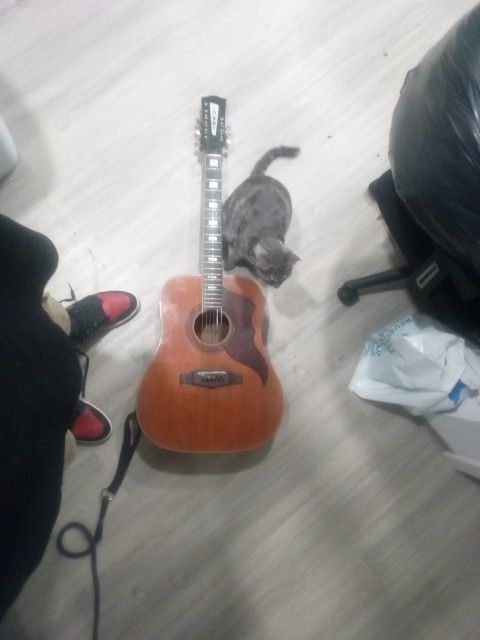 eko Ranger XII Vintage Reissue 12-String Dreadnought Acoustic-Electric Guitar
About this product

Eko Guitars Ranger XII VR Eq Honey Burst Acoustic Gu