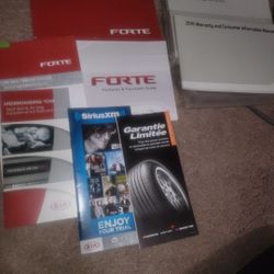 FREE 2014 - 2016 Forte Manual