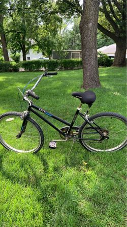 Bois cruiser bicycle