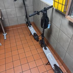 2 electric scooter