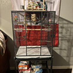 Bird Cage for medium/small sized birds