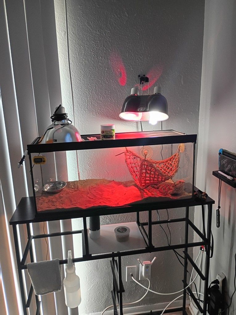Reptile Tank/ Accessories 