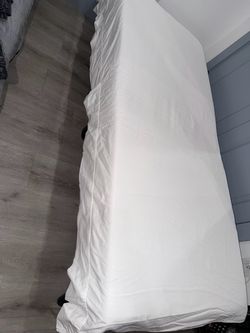 Twin cot