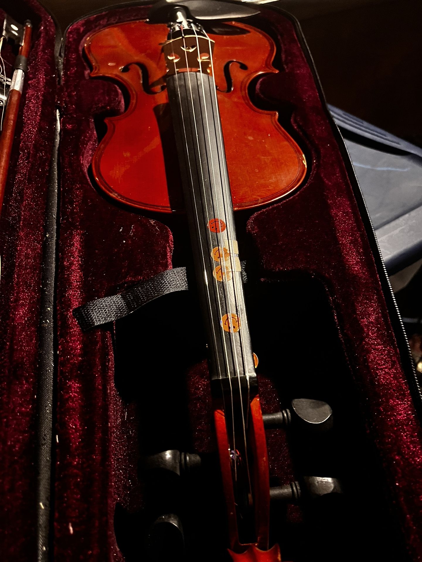 Violin