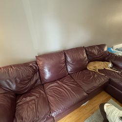 Real Leather Couch FREE