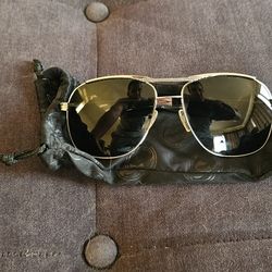 Dragon  Sunglasses 