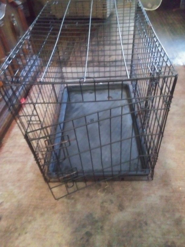Big Dog Cage 20