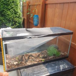 Fish Tank 