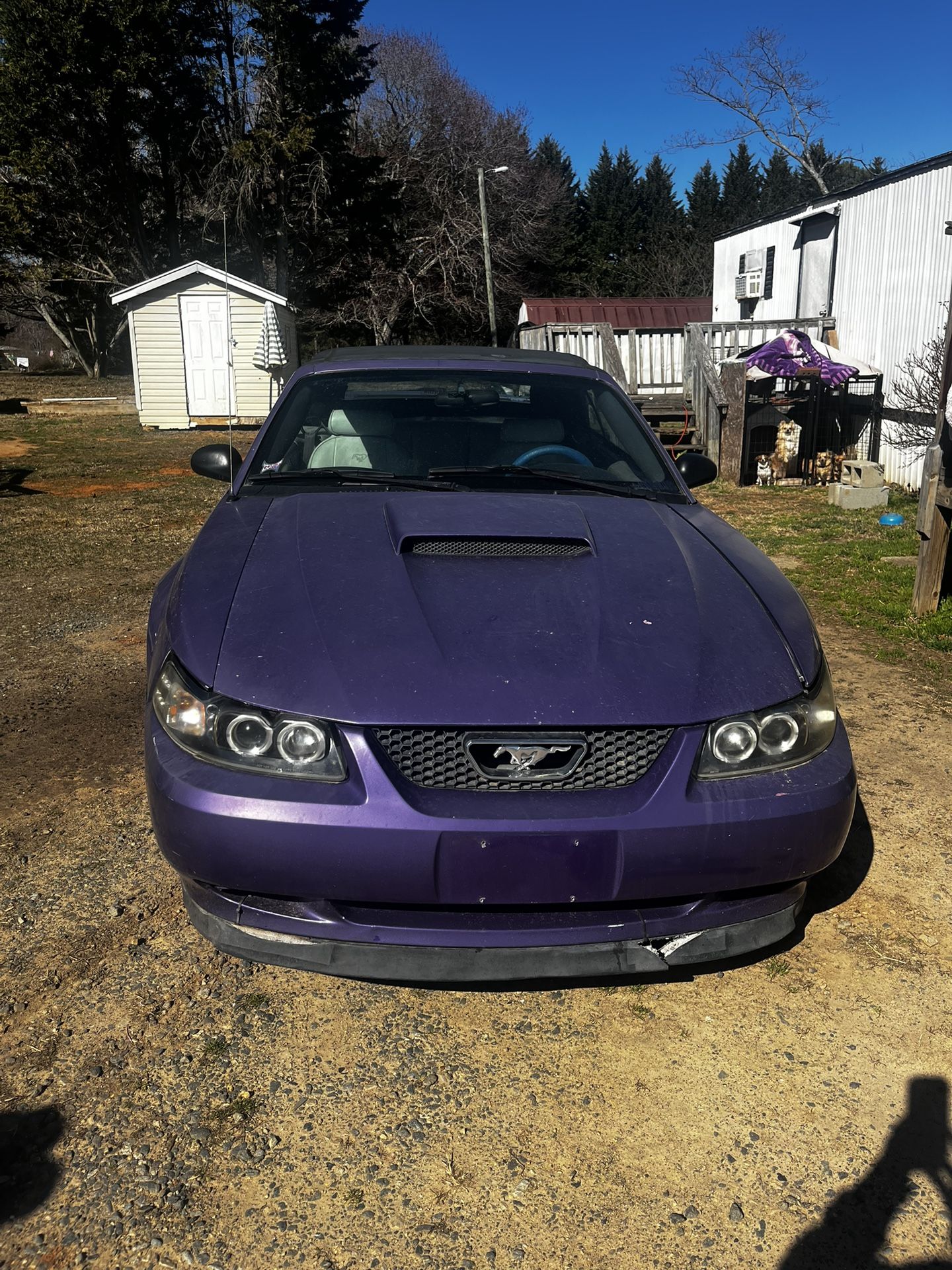 2001 Ford Mustang