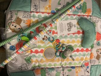 Baby Mates And Carrier