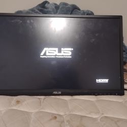 Asus Monitor 1TB