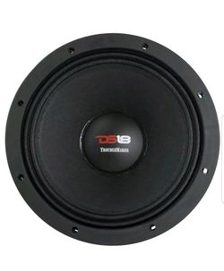 Ds18 troublemakers 10" loud voice speakers