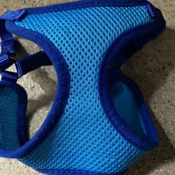 XX Small Harness