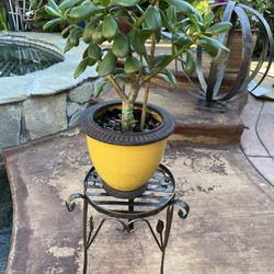 15”Metal Plant Stand. 