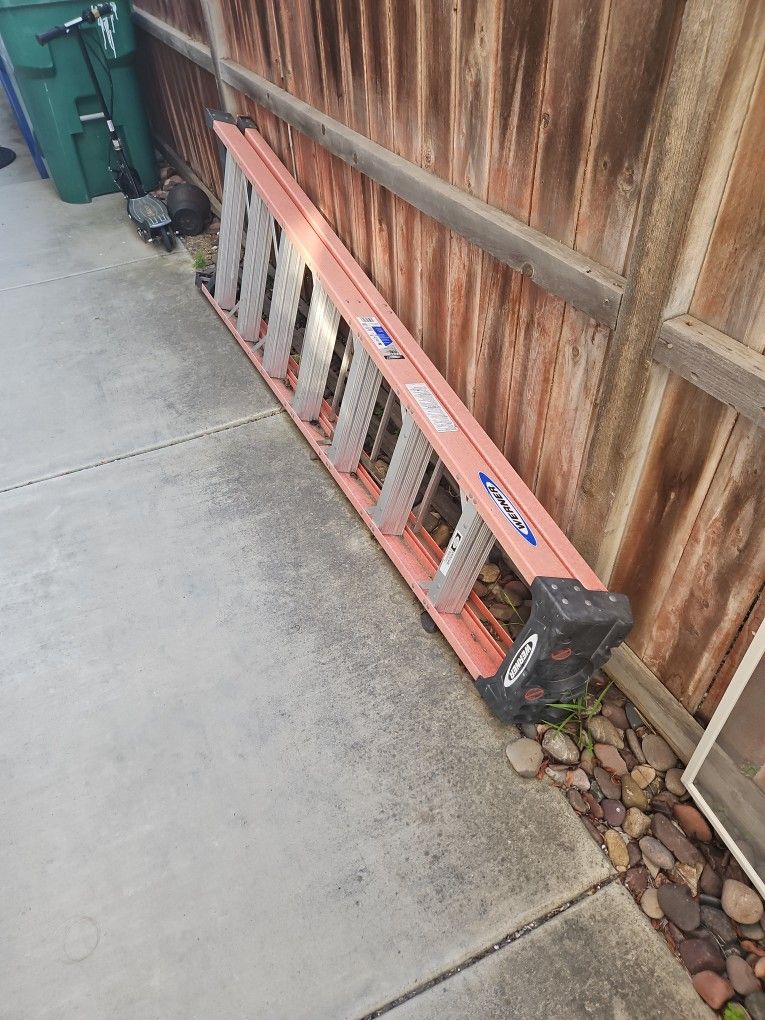 8' Werner Ladder