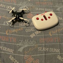 Mini Drone