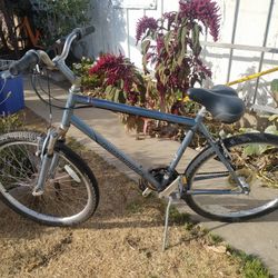 DIAMOND WILDWOOD Citi Bike