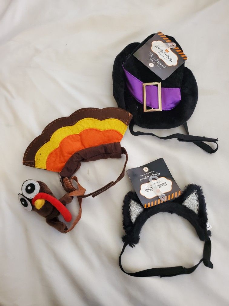 Halloween Pet Accessories 