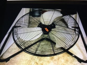 Fan