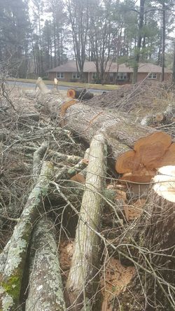 Free Firewood in Durham