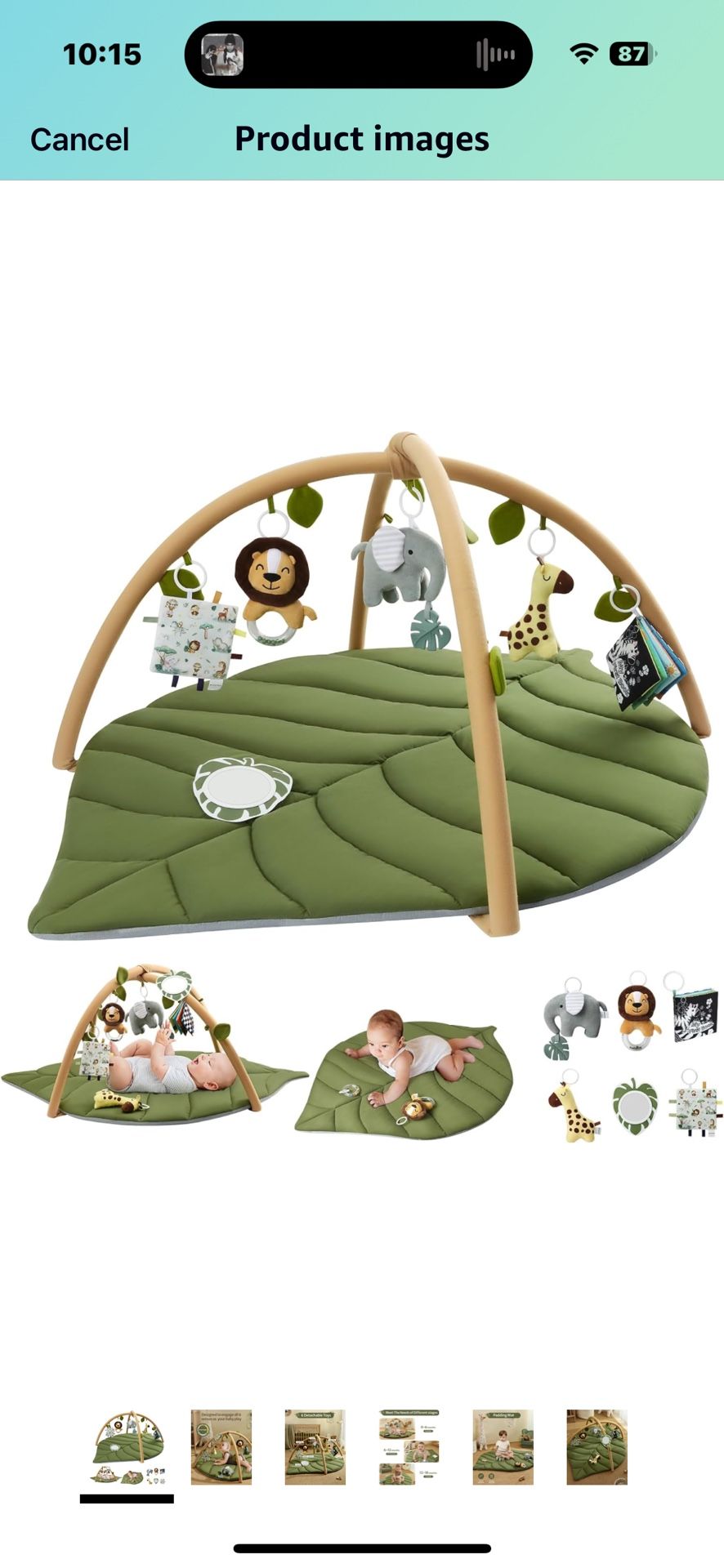 Baby Safari Gym Play Mat
