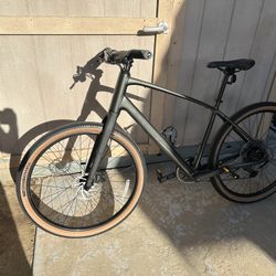 Trek Dual Sport II SO