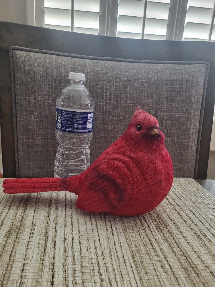 Medium-Size Cardinal