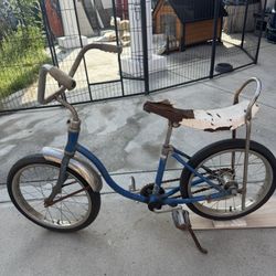 Schwinn Mini