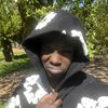 Absky Krazy