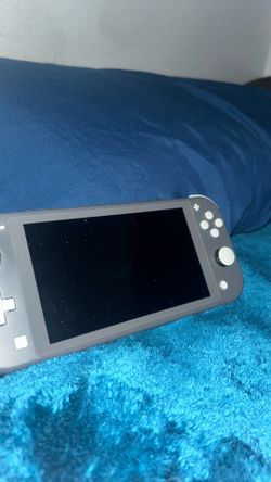 Switch lite