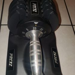 Interchangeable Dumbbell Weight  25 Pounds 