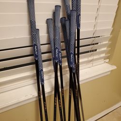 Northwestern Protactic Golf Clubs 
