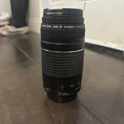 Canon EF 75-300mm Zoom Lens 