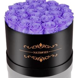 NATROSES 27 Piece Forever Preserved Roses in a Box, Preserved Flowers 