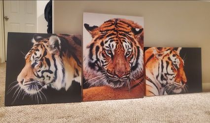 3-Piece Tiger Canvas Wall Art Set